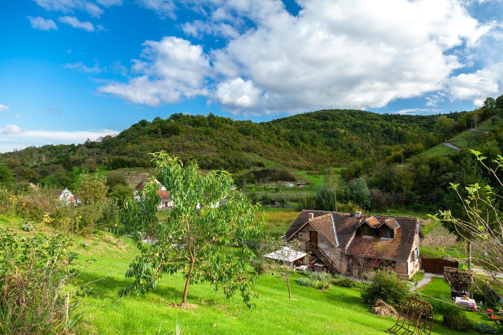 Country House Stričev grunt Stara Kapela Pensionat Rum bild