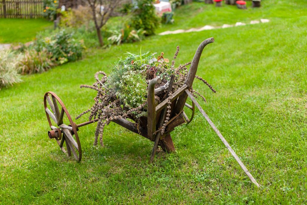 Country House Stričev grunt Stara Kapela Pensionat Rum bild